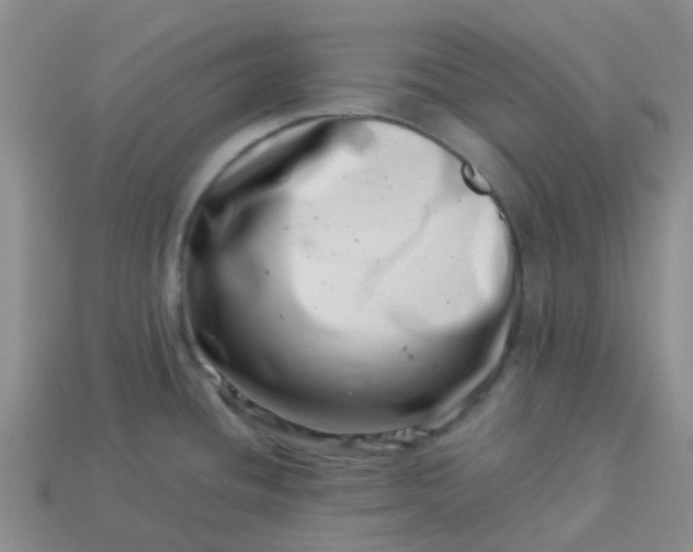 X0000113991436200910161636