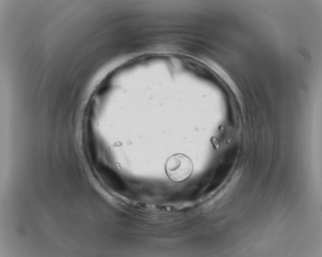 X0000113991437200910161636