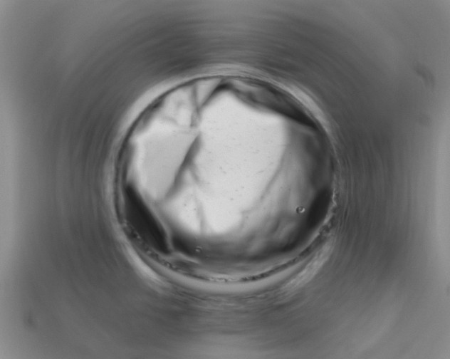 X0000113991438200910161636