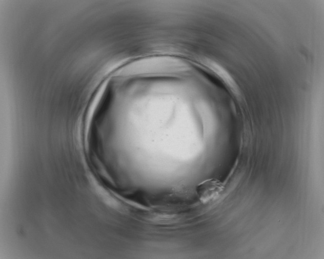 X0000113991439200910161636