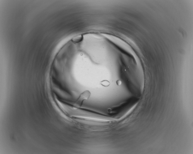 X0000113991440200910161636