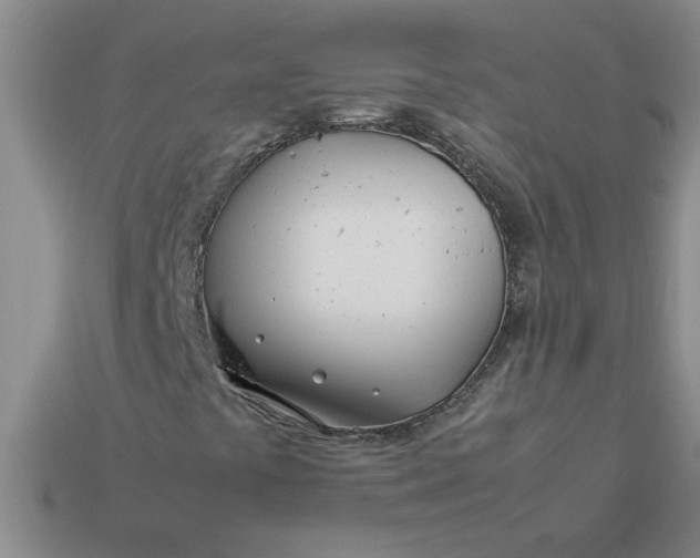 X0000113991441200910161635