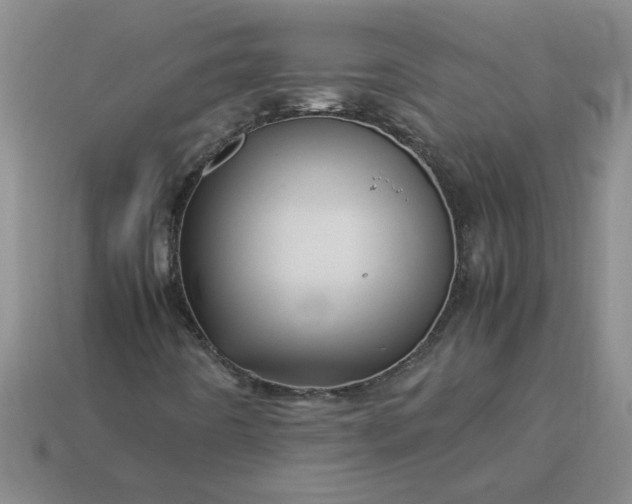 X0000113991442200910161635