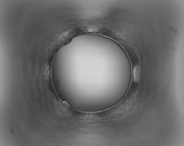 X0000113991443200910161635