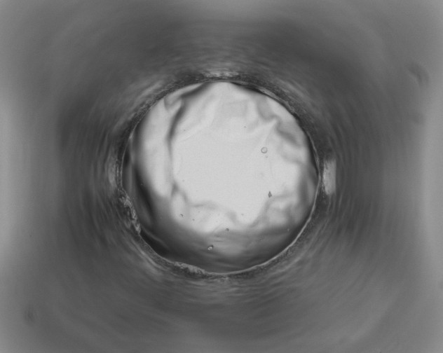 X0000113991444200910161635