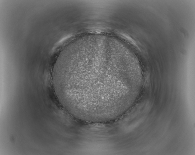 X0000113991446200910161635