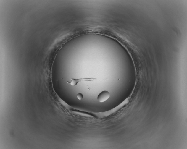 X0000113991447200910161635