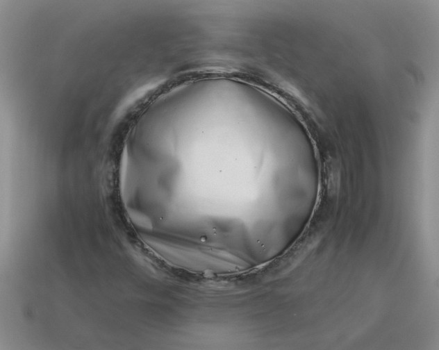 X0000113991448200910161635