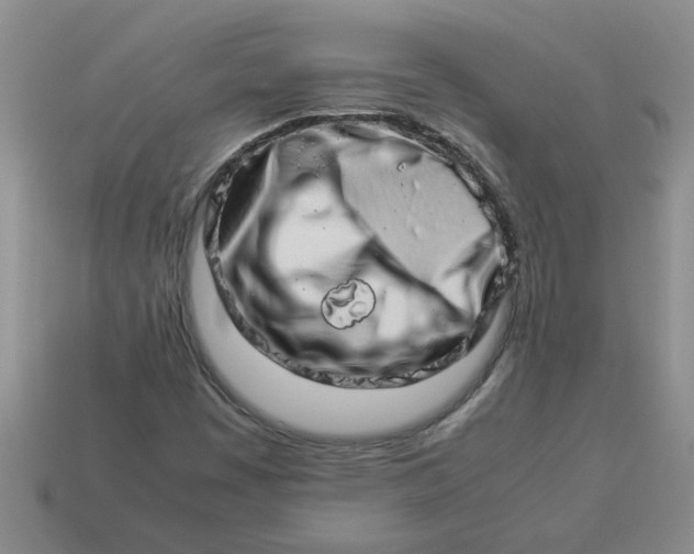 X0000113991449200910161635