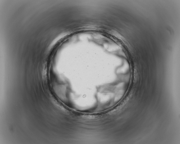 X0000113991450200910161635