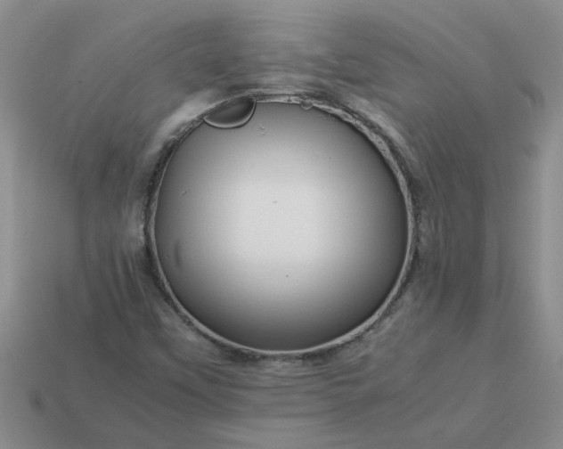 X0000113991451200910161635