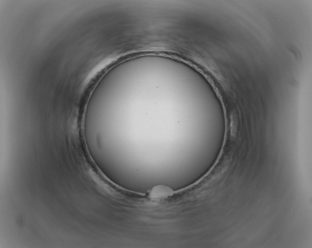 X0000113991452200910161635