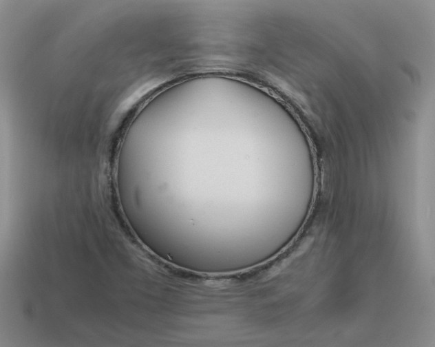 X0000113991453200910161635