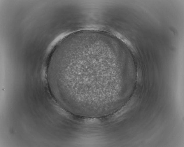 X0000113991454200910161635