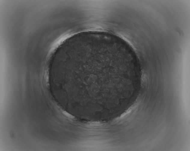 X0000113991455200910161635