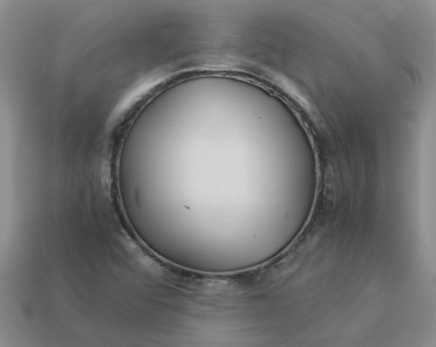 X0000113991456200910161635