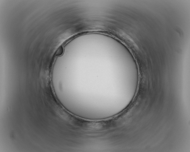 X0000113991457200910161635