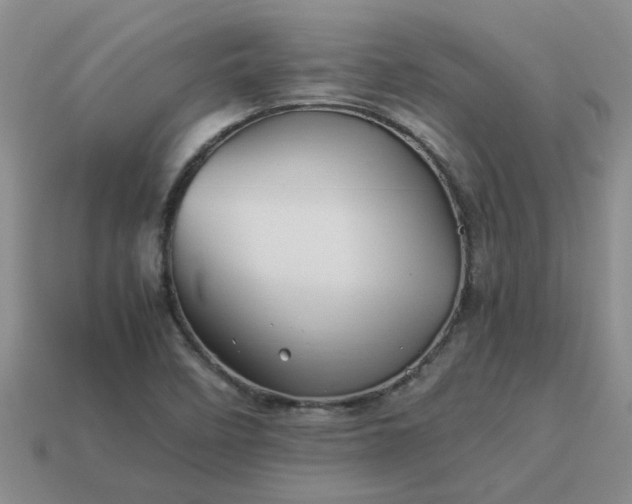 X0000113991458200910161635