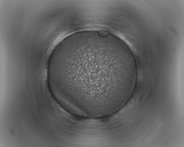 X0000113991459200910161635