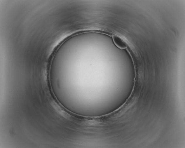 X0000113991460200910161635