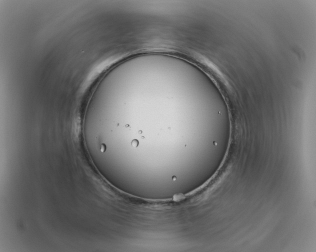 X0000113991461200910161635