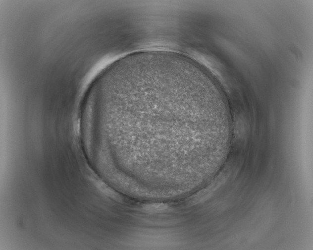 X0000113991462200910161635