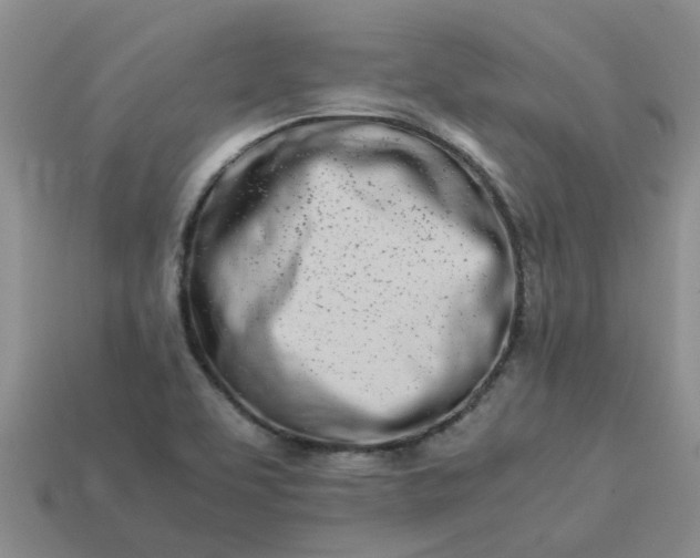 X0000113991463200910161635