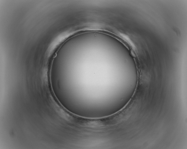 X0000113991464200910161635