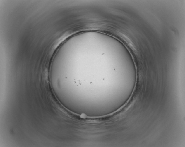 X0000113991465200910161635