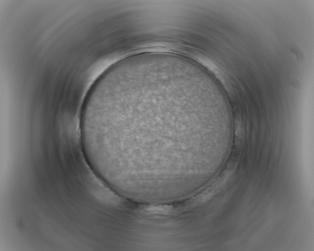 X0000113991466200910161635