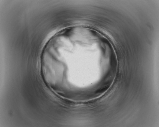 X0000113991467200910161635