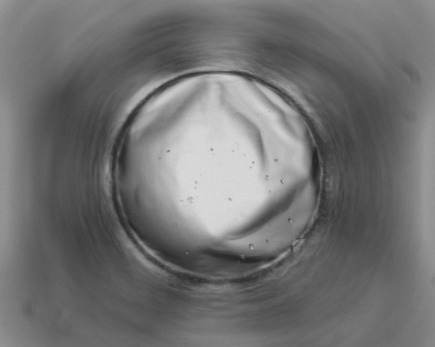 X0000113991468200910161635