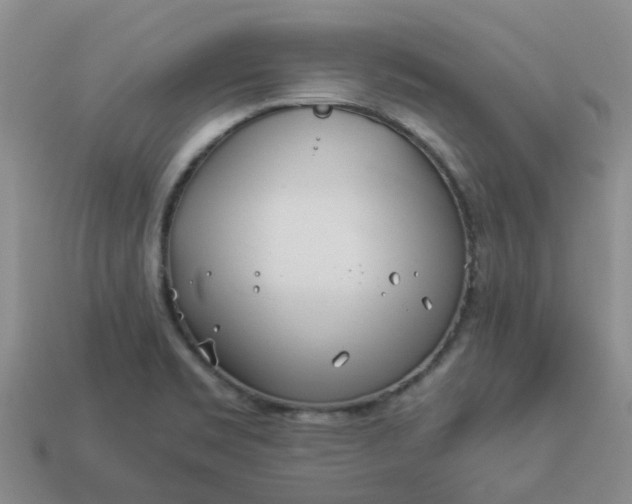 X0000113991469200910161635