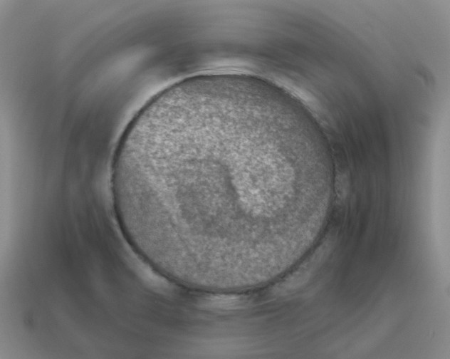 X0000113991470200910161635