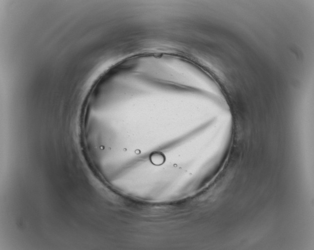 X0000113991471200910161635