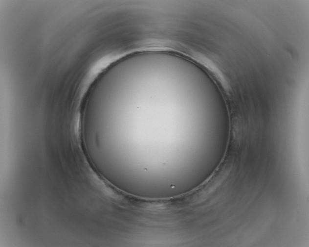 X0000113991472200910161635