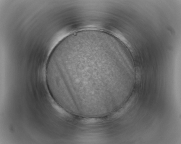 X0000113991474200910161635