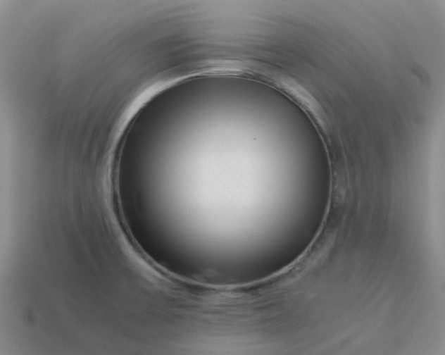 X0000113991475200910161635