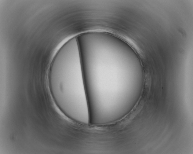 X0000113991476200910161635