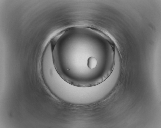 X0000113991477200910161635