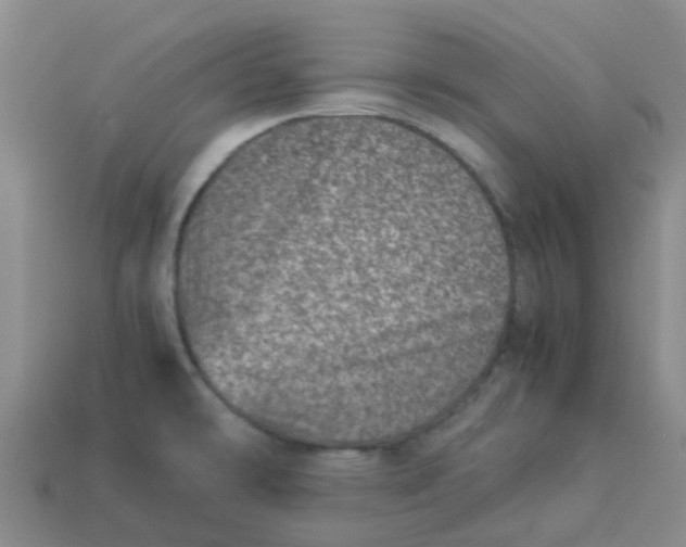 X0000113991478200910161635