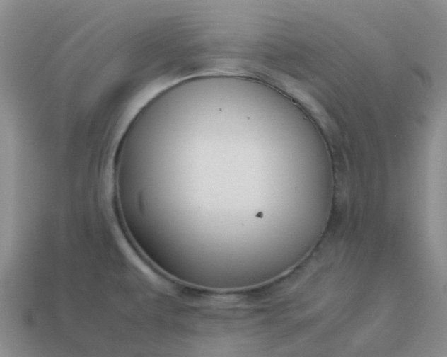 X0000113991479200910161635