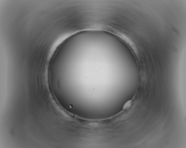 X0000113991480200910161635