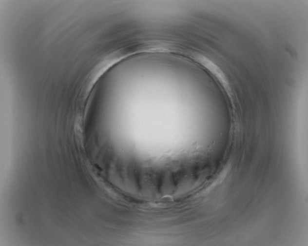 X0000113991481200910161635