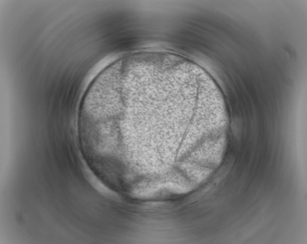 X0000113991482200910161635