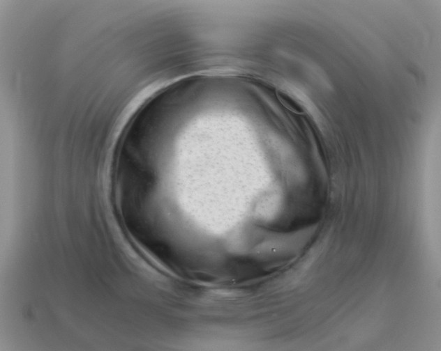 X0000113991483200910161635