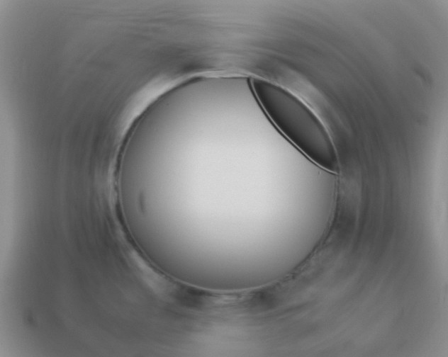 X0000113991485200910161635