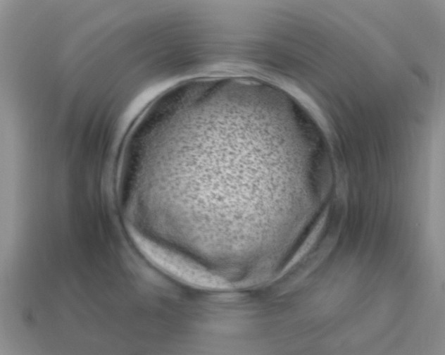 X0000113991486200910161635