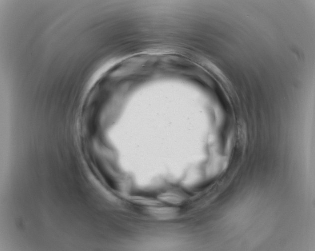 X0000113991487200910161635