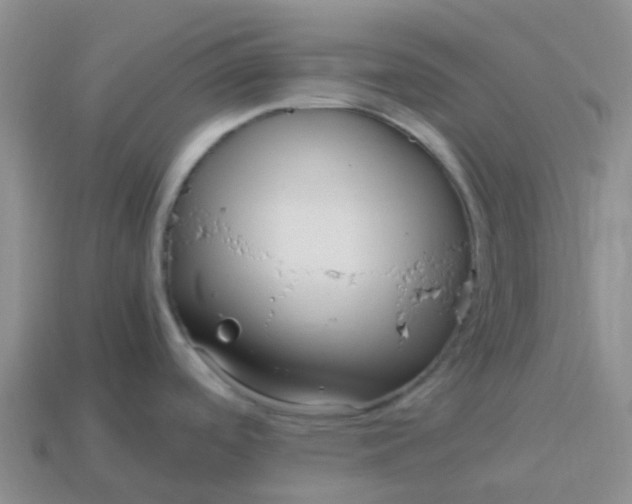 X0000113991488200910161635